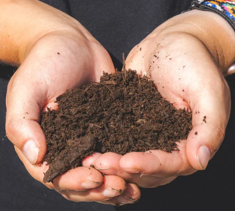 Organic & Natural Fertilizers