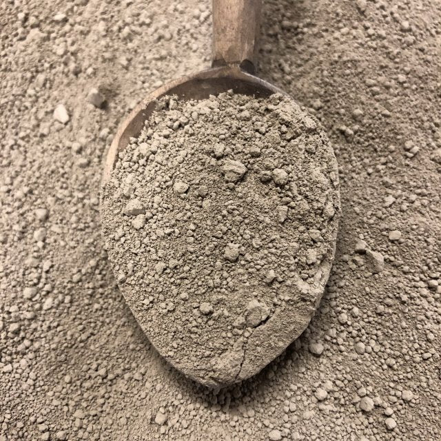 Ontario Planting Favourites